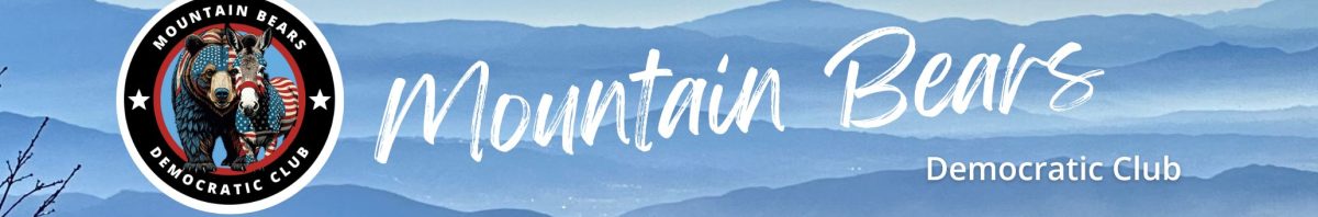 Website Banners-2